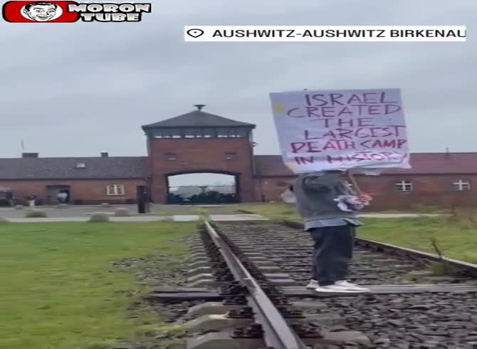 Video :He holds a pro-Palestine banner outside Auschwitz